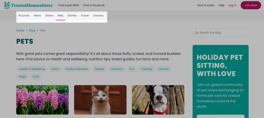 trustedhouse-sitters-marketplace-seo-informational-content