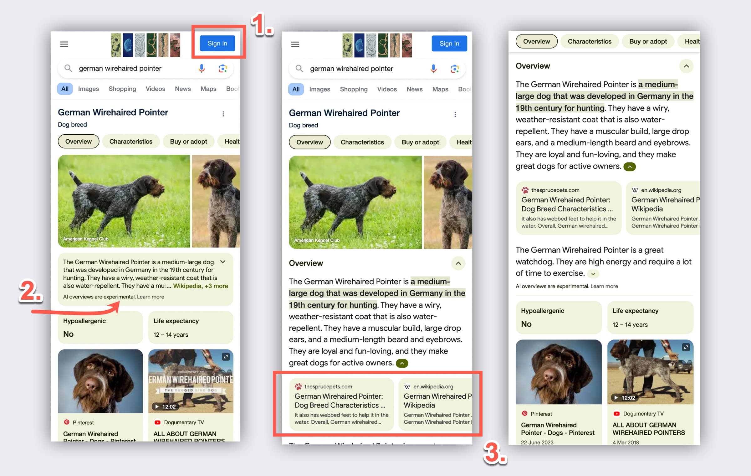 google ai overview showing test mobile knowledge panel